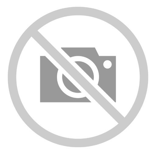 Shiseido synchro skin self-refreshing powder base 250 1un